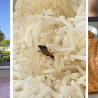 8Elements Perfect Indian Cuisine