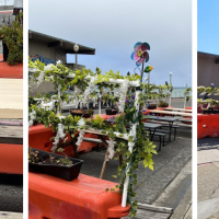 Breakers Breakfast Brunch & Lunch