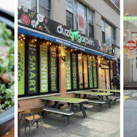 Duzan Mediterranean Grill