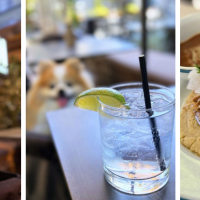 El Jardin Tequila Bar