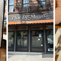 Flor de Mayo