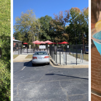 Lucky Dog Bark & Brew Charlotte