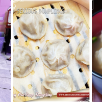 Serious Dumplings - Boca Raton