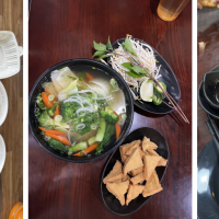 ViVi Pho